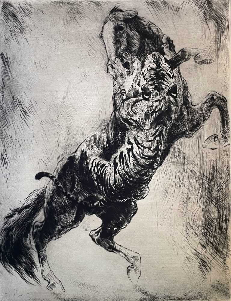 Tiger greift Pferd an