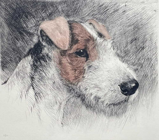 Terrier