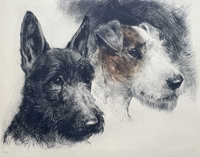 Scotch and foxterrier